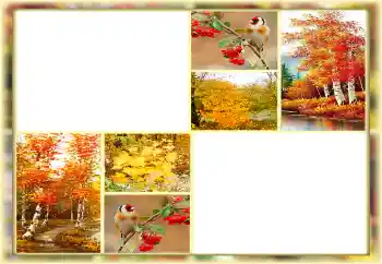 カテゴリのフォトエフェクト 秋 № 160654