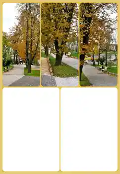 カテゴリのフォトエフェクト 秋 № 160725