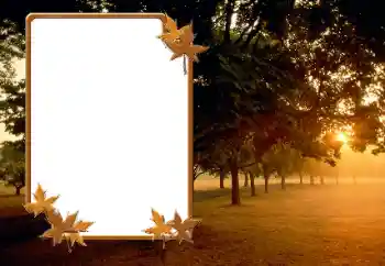 カテゴリのフォトエフェクト 秋 № 166423