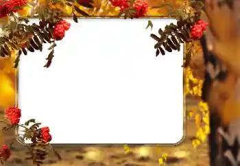 カテゴリのフォトエフェクト 秋 № 166546