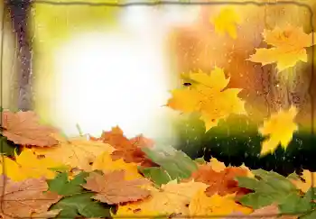 カテゴリのフォトエフェクト 秋 № 174170
