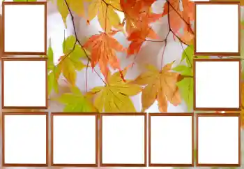 カテゴリのフォトエフェクト 秋 № 195267