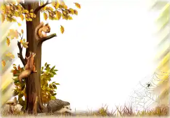 カテゴリのフォトエフェクト 秋 № 196642