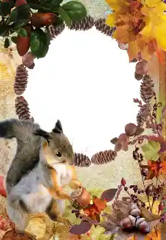 カテゴリのフォトエフェクト 秋 № 2011 カテゴリのフォトエフェクト 秋 № 2011