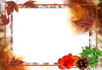 カテゴリのフォトエフェクト 秋 № 31707