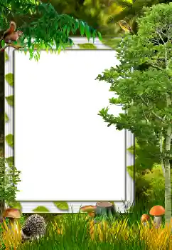 カテゴリのフォトエフェクト 秋 № 34731 カテゴリのフォトエフェクト 秋 № 34731