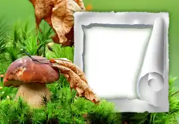 カテゴリのフォトエフェクト 秋 № 34933 カテゴリのフォトエフェクト 秋 № 34933