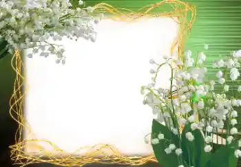 カテゴリのフォトエフェクト 春 № 113120