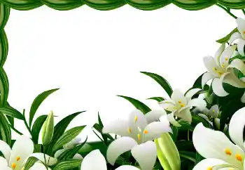 カテゴリのフォトエフェクト 春 № 113129