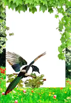 カテゴリのフォトエフェクト 春 № 147761 カテゴリのフォトエフェクト 春 № 147761