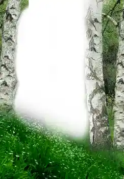 カテゴリのフォトエフェクト 春 № 149305