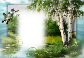 カテゴリのフォトエフェクト 春 № 49552