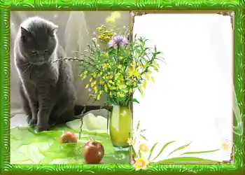 カテゴリのフォトエフェクト 春 № 982
