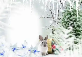 カテゴリのフォトエフェクト 冬 № 128650