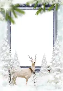 カテゴリのフォトエフェクト 冬 № 128652