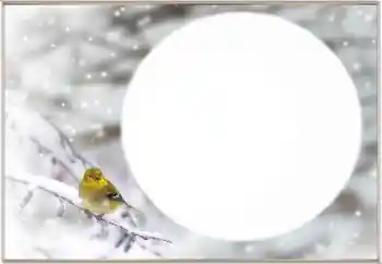 カテゴリのフォトエフェクト 冬 № 163334