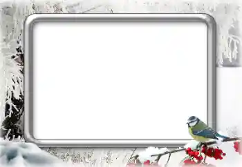 カテゴリのフォトエフェクト 冬 № 179644