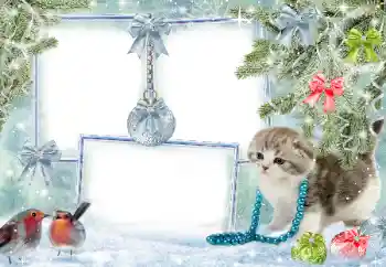 カテゴリのフォトエフェクト 冬 № 38960