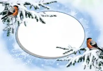 カテゴリのフォトエフェクト 冬 № 42676