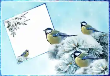 カテゴリのフォトエフェクト 冬 № 87962 カテゴリのフォトエフェクト 冬 № 87962