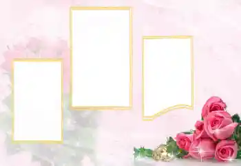 カテゴリのフォトエフェクト 結婚式のフレーム № 114398 カテゴリのフォトエフェクト 結婚式のフレーム № 114398