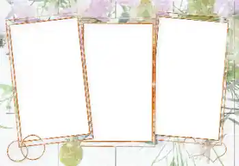 カテゴリのフォトエフェクト 結婚式のフレーム № 143679