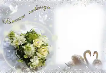 カテゴリのフォトエフェクト 結婚式のフレーム № 15058. フレーム上の碑文: Вместе навсегда! カテゴリのフォトエフェクト 結婚式のフレーム № 15058. フレーム上の碑文: Вместе навсегда!