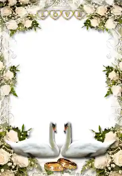 カテゴリのフォトエフェクト 結婚式のフレーム № 1634 カテゴリのフォトエフェクト 結婚式のフレーム № 1634