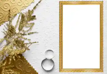 カテゴリのフォトエフェクト 結婚式のフレーム № 205549