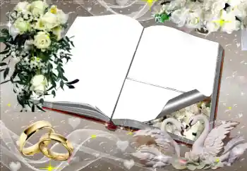 カテゴリのフォトエフェクト 結婚式のフレーム № 2777
