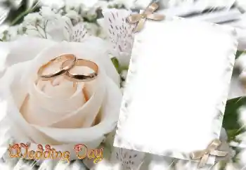 カテゴリのフォトエフェクト 結婚式のフレーム № 31729. フレーム上の碑文: Wedding Day