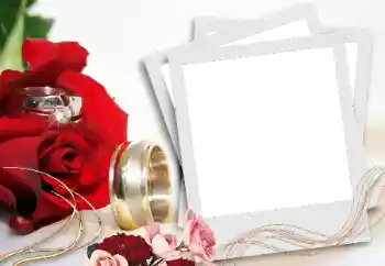 カテゴリのフォトエフェクト 結婚式のフレーム № 31736