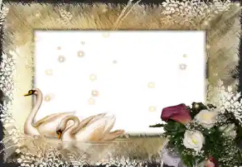 カテゴリのフォトエフェクト 結婚式のフレーム № 58998