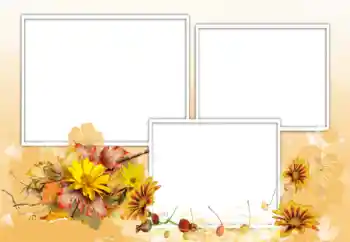 カテゴリのフォトエフェクト 女性のフォトフレーム № 198975