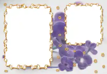 カテゴリのフォトエフェクト 女性のフォトフレーム № 203262