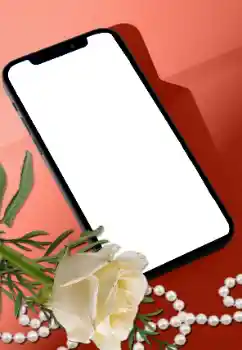 カテゴリのフォトエフェクト 女性のフォトフレーム № 205752