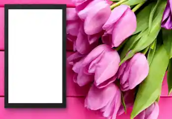 カテゴリのフォトエフェクト 女性のフォトフレーム № 206179