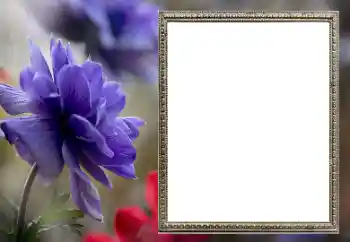 カテゴリのフォトエフェクト 女性のフォトフレーム № 206189 カテゴリのフォトエフェクト 女性のフォトフレーム № 206189