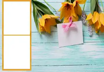 カテゴリのフォトエフェクト 女性のフォトフレーム № 206196